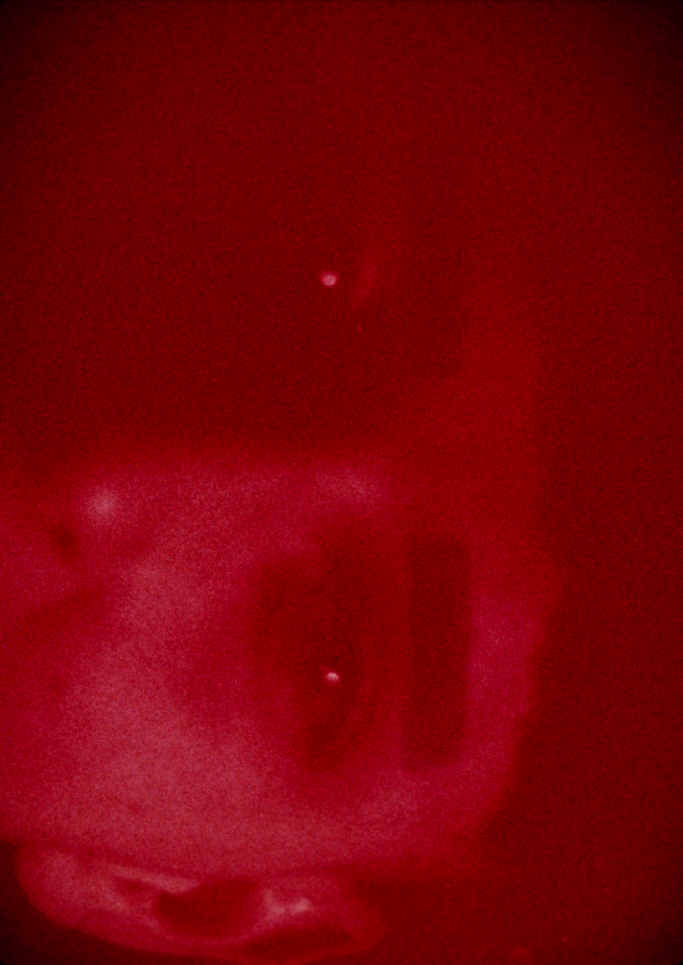 *ASCHE: 1991, 2026, 2700*, edited by Elif Saydam, François Pisapia, José Segebre, Rosen Eveleigh and Ursula Pürrer, published by Die schönsten schwulen Bücher (forthcoming)